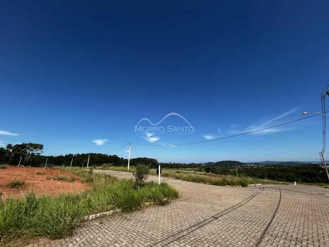 Vista panorâmica de uma estrada de terra com vegetação rasteira sob um céu azul claro.