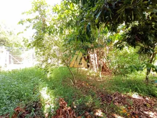 Casa com 2 dormitórios, foto 16