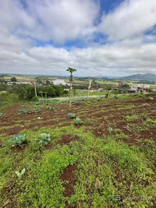 Terreno, foto 1