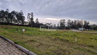 Terreno, foto 3