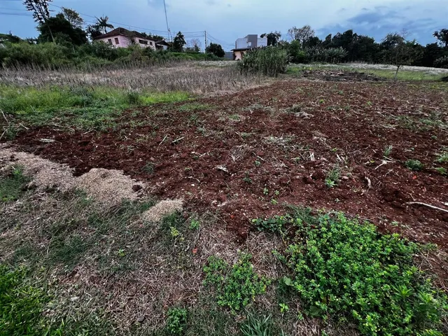 Área rural