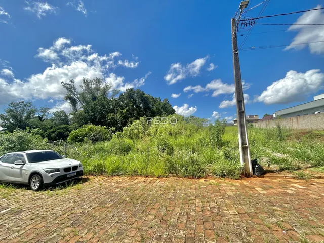Vista externa de um terreno com vegetação densa e pavimento de tijolos.
