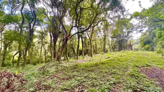 Área rural, foto 2