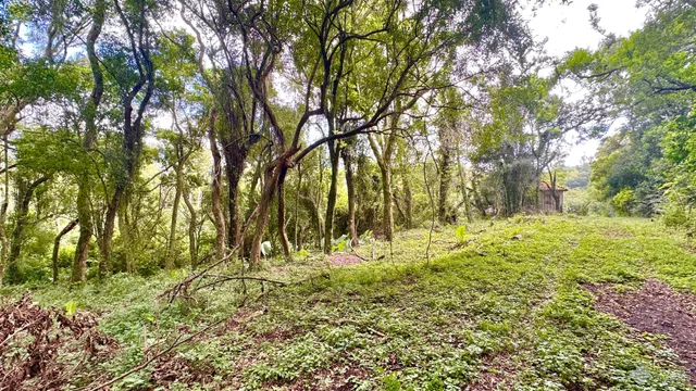 Área rural, foto 2