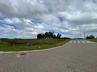 Terreno, foto 8