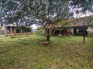 Área rural com 4 dormitórios, foto 17