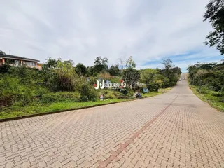Terreno, foto 3