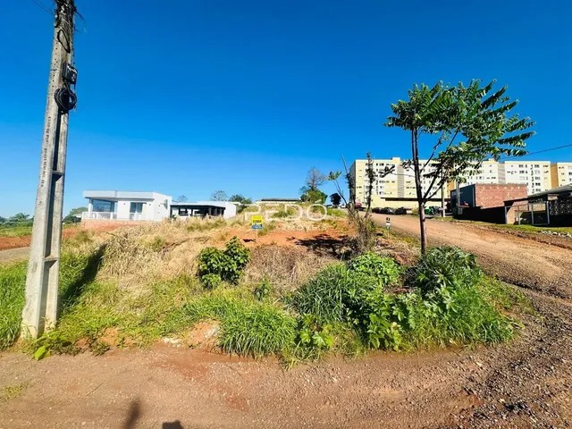 Vista externa de um terreno com vegetação seca e solo de terra.