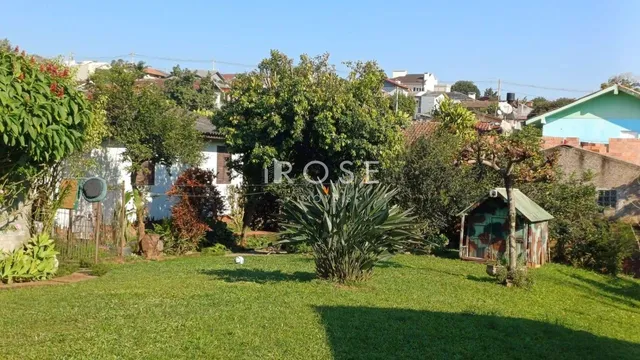 Terreno, foto 5