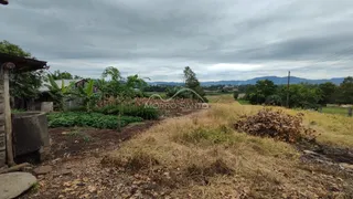 Vista externa de um campo seco com vegetação alta e terra no exterior da propriedade.