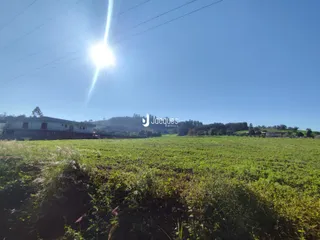 Vista de campos verdes e vegetação sob um céu azul em uma paisagem rural.