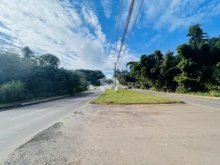 Vista da paisagem com estrada e vegetação ao longo de uma estrada no Brasil.