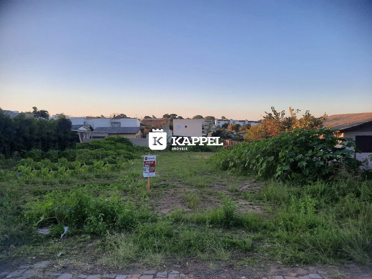 Vista externa de um terreno com vegetação alta e grama no primeiro plano.