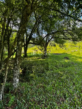 Área rural, foto 6