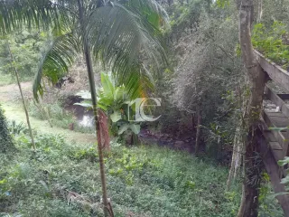 Área rural com 4 dormitórios, foto 5