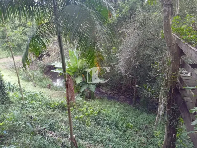 Área rural com 4 dormitórios, foto 5