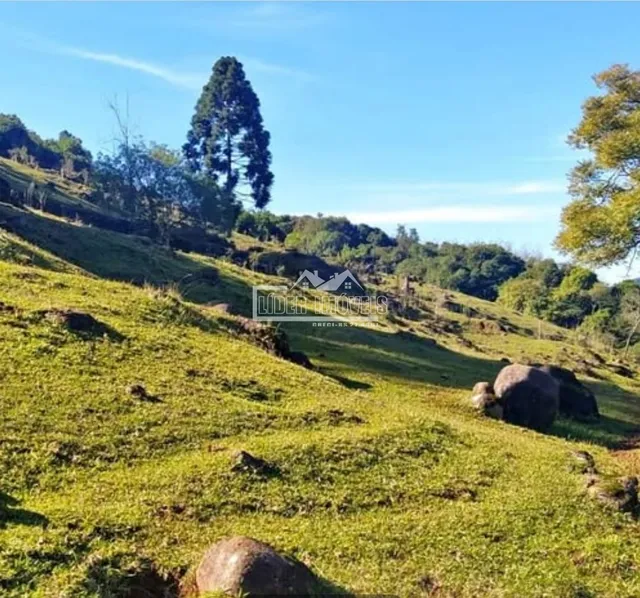 Paisagem de colinas verdes com vegetação densa e rochas no primeiro plano.
