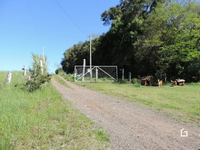 Área rural, foto 4