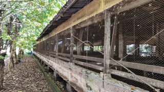 Área rural, foto 7