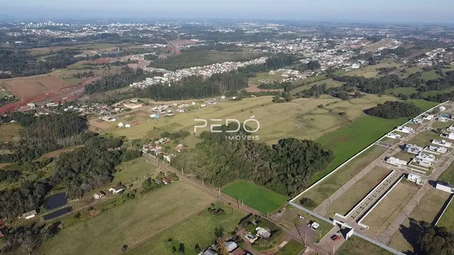 Terreno