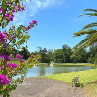 Vista de um lago cercado por vegetação e árvores