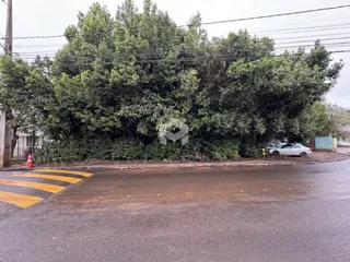 Vista da propriedade com vegetação densa ao longo da rua.