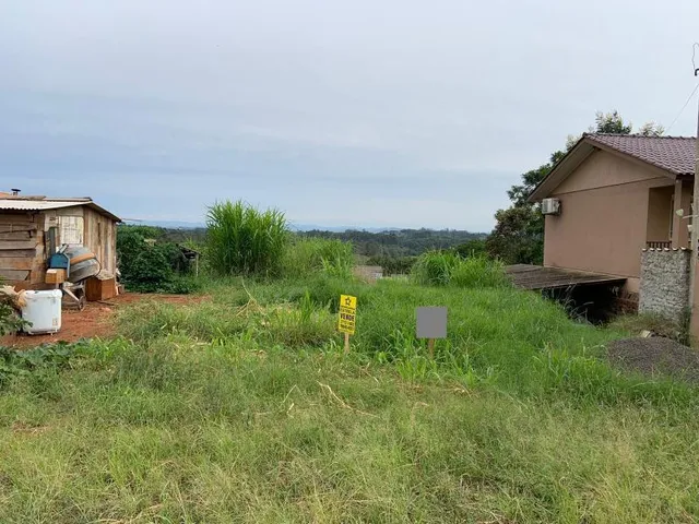 Terreno