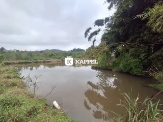 Vista de um rio com vegetação densa ao redor em Lajeado, Brasil.