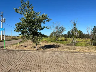 Vista externa de uma estrada e vegetação sob um céu azul.