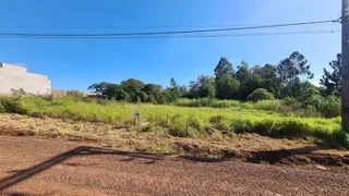 Vista externa de um campo de grama seca com terra no primeiro plano.