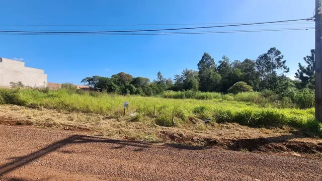Vista externa de um campo de grama seca com terra no primeiro plano.