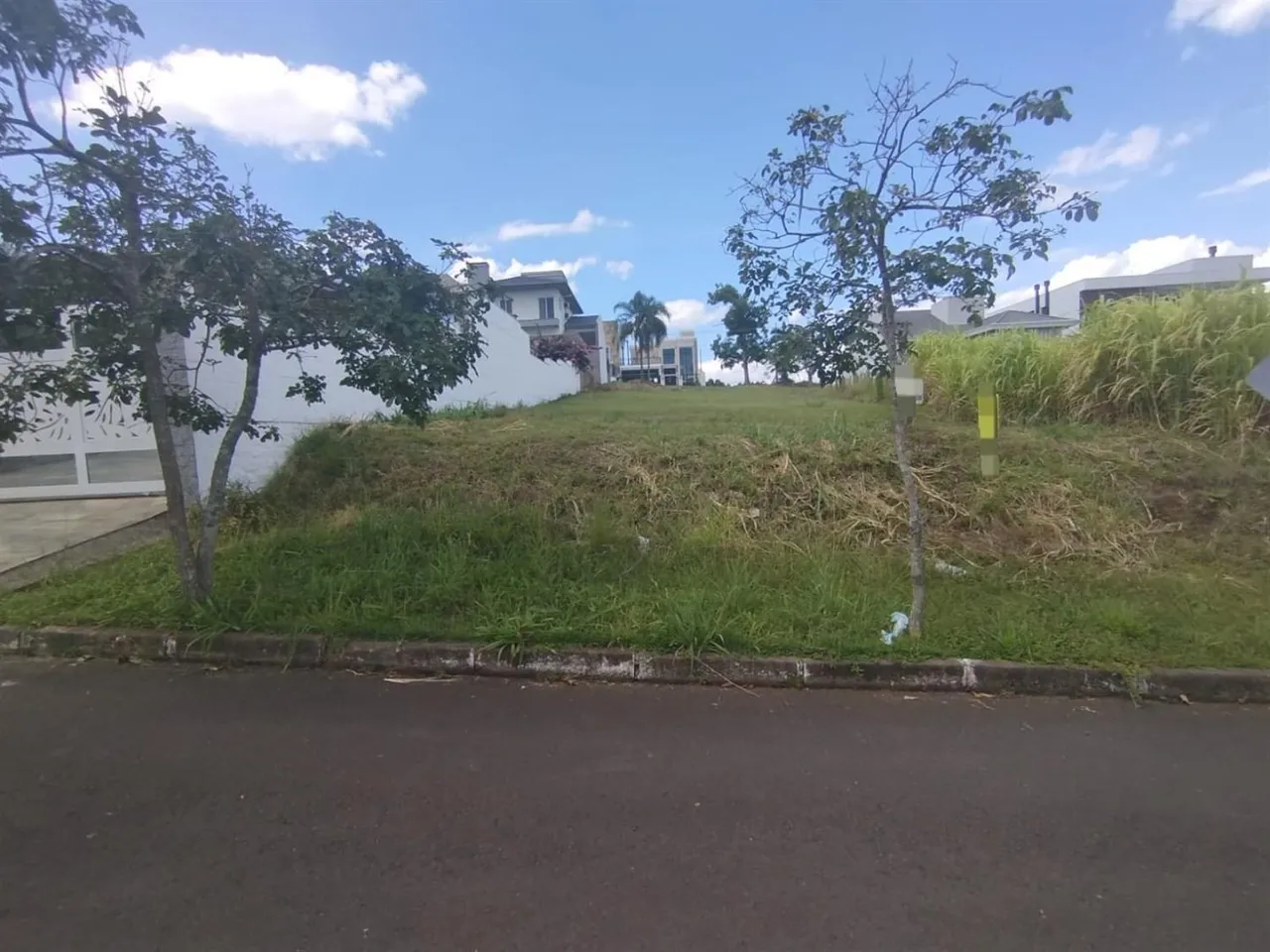 Terreno, foto 1