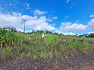 Paisagem de grama alta e vegetação no exterior.
