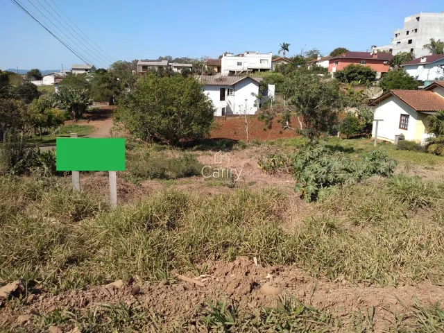 Terreno, foto 2