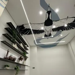 Foto do teto decorado com um padrão de asas escuras em um ambiente interno.