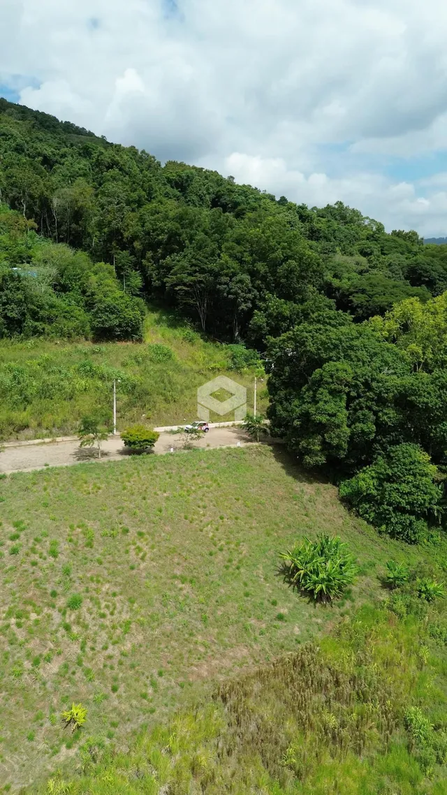 Vista aérea de uma área de vegetação e campo na paisagem.