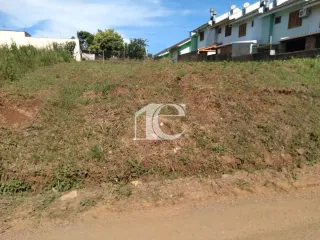 Terreno, foto 3