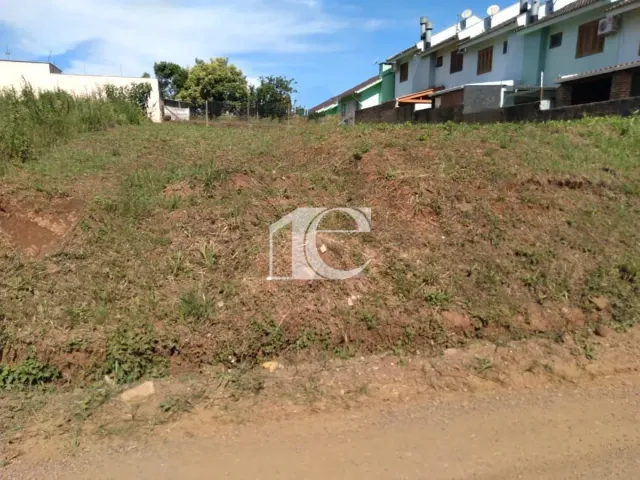 Terreno, foto 3