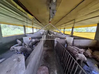 Área rural, foto 13