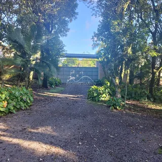 Vista da entrada da propriedade com vegetação densa e estrada de cascalho.