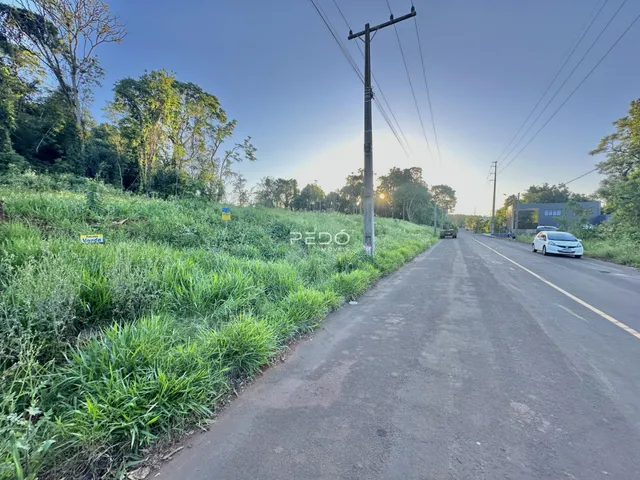 Vista da paisagem rural ao longo de uma estrada com vegetação densa.