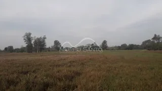Foto de um campo aberto com vegetação seca sob um céu nublado.