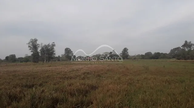 Foto de um campo aberto com vegetação seca sob um céu nublado.