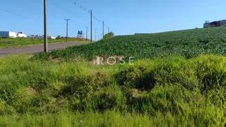 Terreno, foto 2