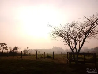 Área rural com 3 dormitórios, foto 27