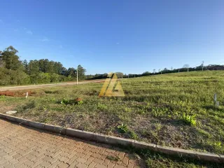 Terreno, foto 3