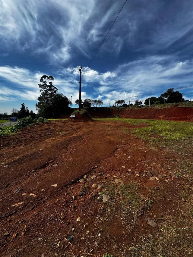Terreno