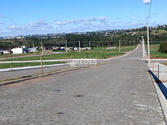 Terreno, foto 2
