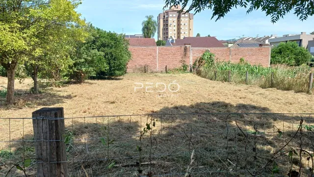 Vista externa de um terreno com cerca e vegetação densa.
