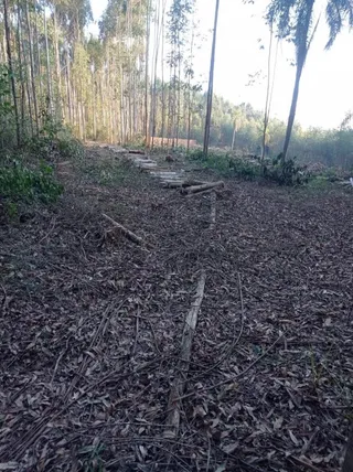 Área rural, foto 3